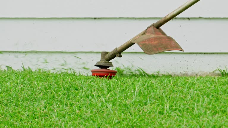 Best Stump Grinding and Removal  in Woodville, TX