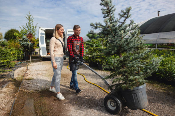  Woodville, TX Tree Services Pros