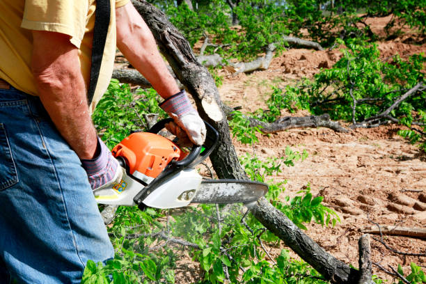 Best Weed Control  in Woodville, TX